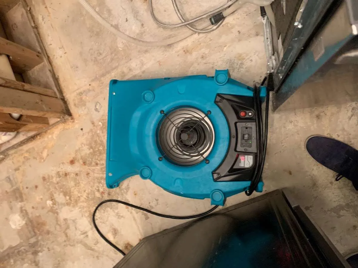 Air mover drying equipment for Mold Remediation & Removal in Wilton