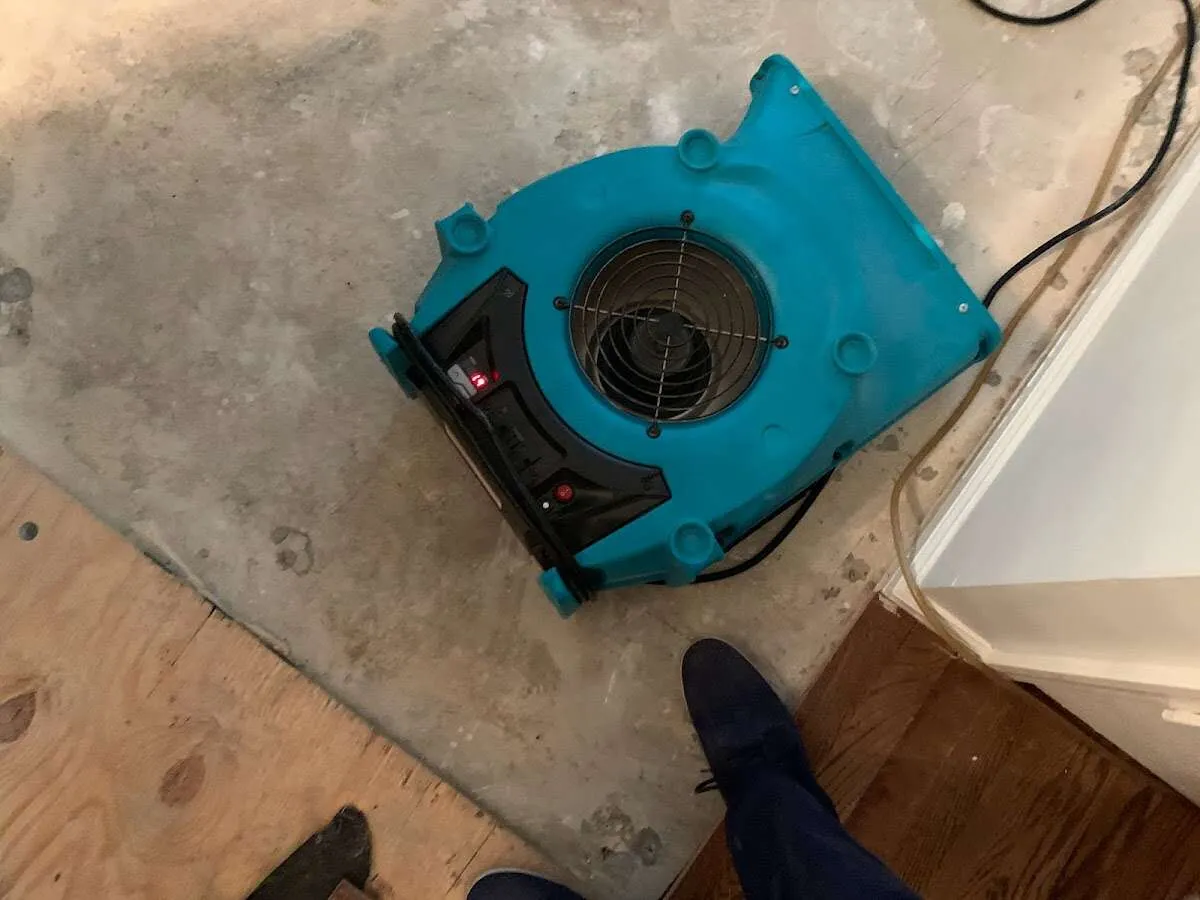Air mover drying subfloor during Leak Detection & Repair in Wilton